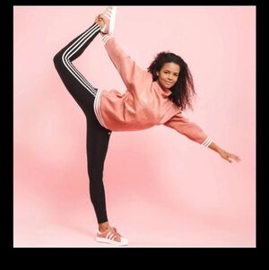 Adidas Trefoil 3 Stripes Perkins Collar Retro 70's Oversized Gorpcore Sweatshirt